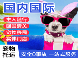 广州机场托运国际宠物托运 【国